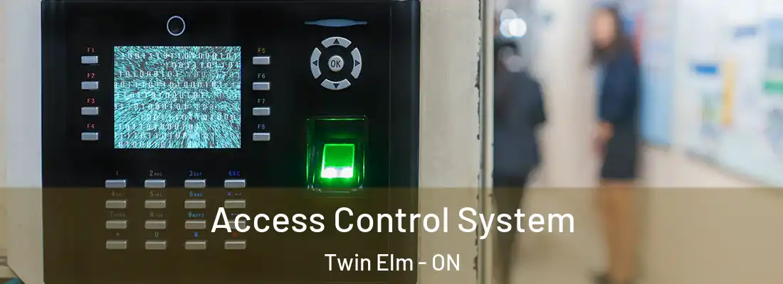  Access Control System Twin Elm - ON
