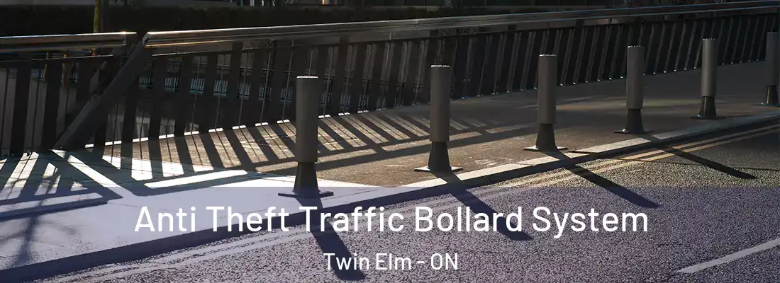  Anti Theft Traffic Bollard System Twin Elm - ON