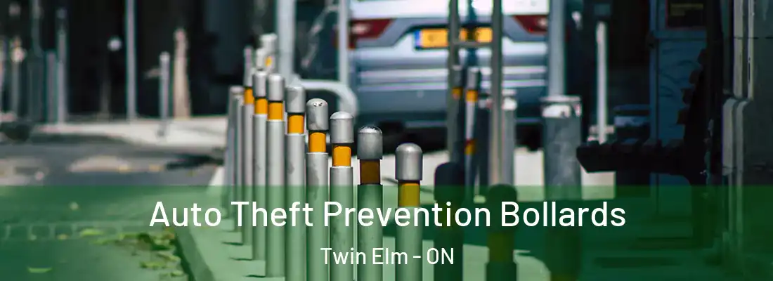  Auto Theft Prevention Bollards Twin Elm - ON