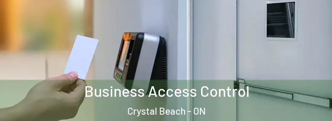  Business Access Control Crystal Beach - ON