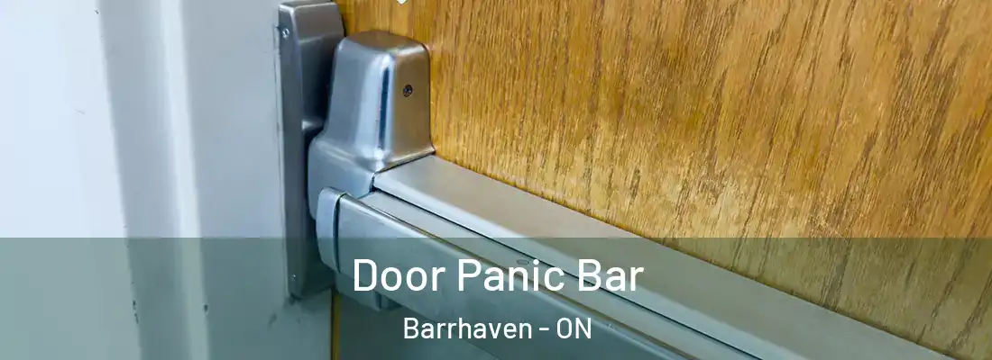  Door Panic Bar Barrhaven - ON
