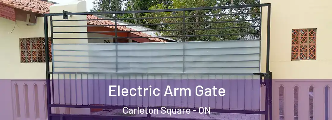  Electric Arm Gate Carleton Square - ON