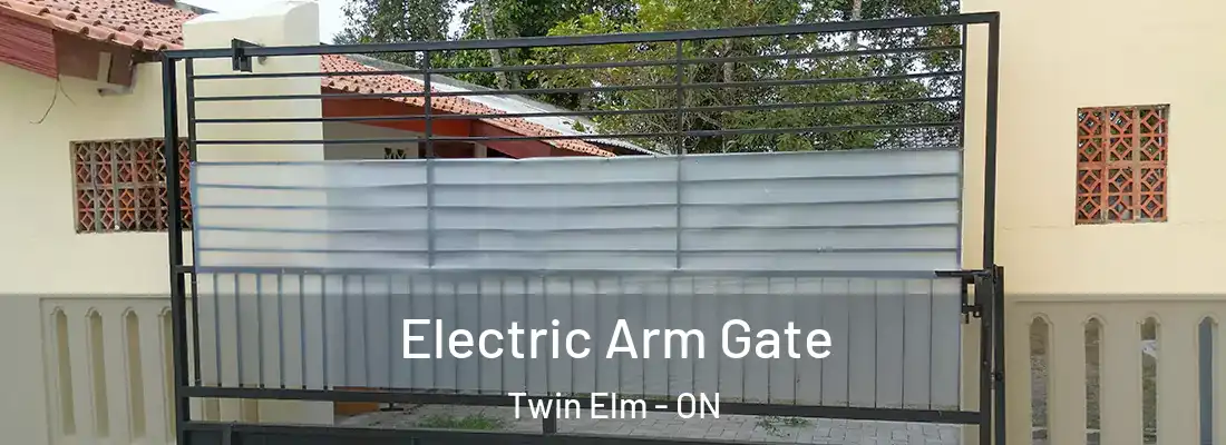  Electric Arm Gate Twin Elm - ON