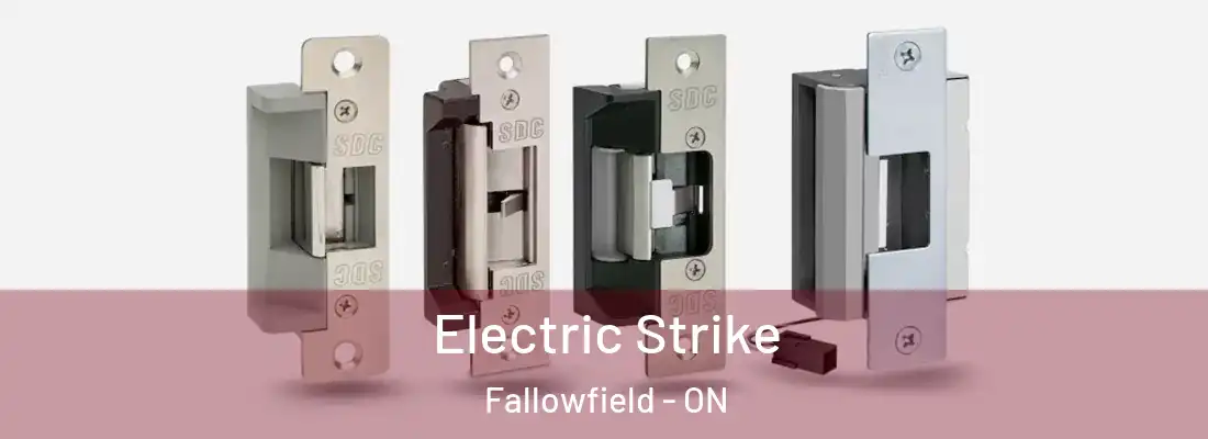  Electric Strike Fallowfield - ON