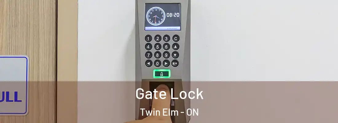  Gate Lock Twin Elm - ON