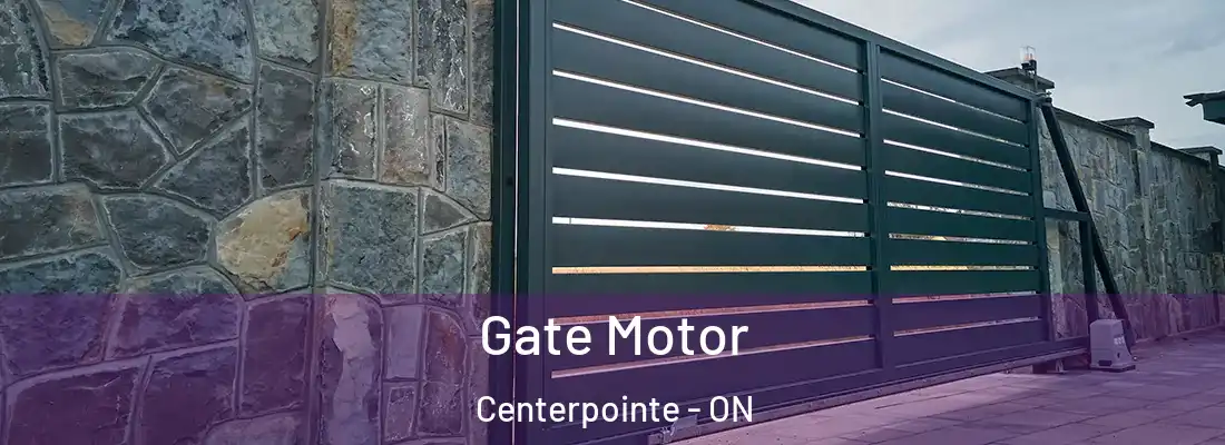  Gate Motor Centerpointe - ON