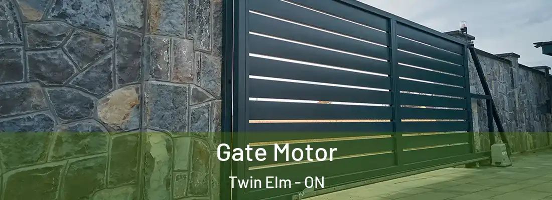  Gate Motor Twin Elm - ON