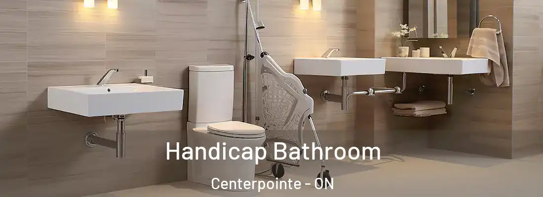  Handicap Bathroom Centerpointe - ON