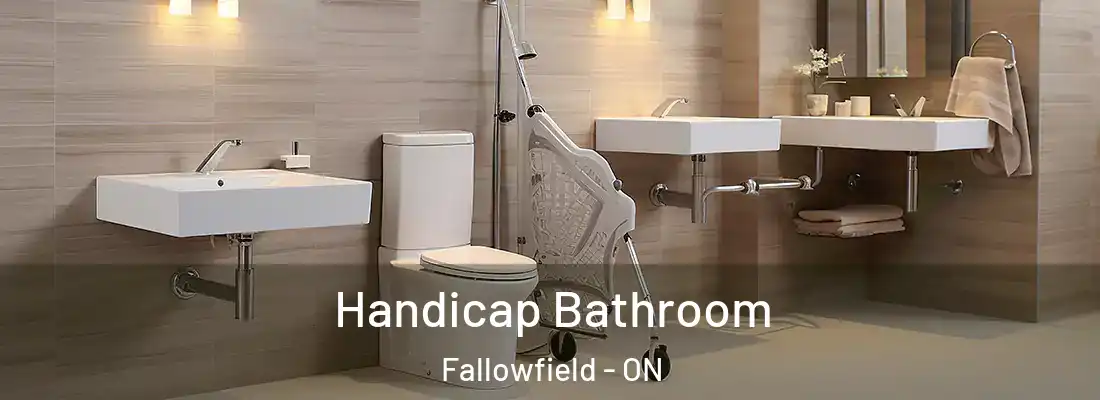  Handicap Bathroom Fallowfield - ON