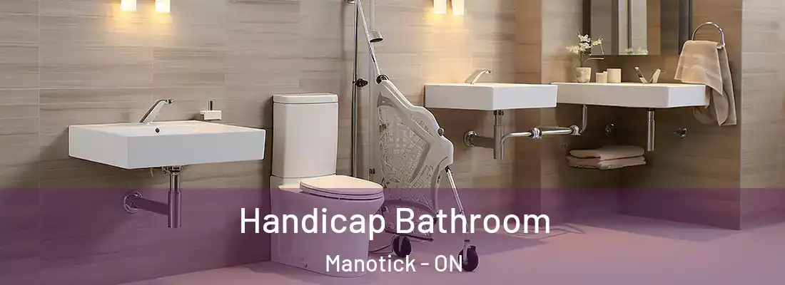  Handicap Bathroom Manotick - ON