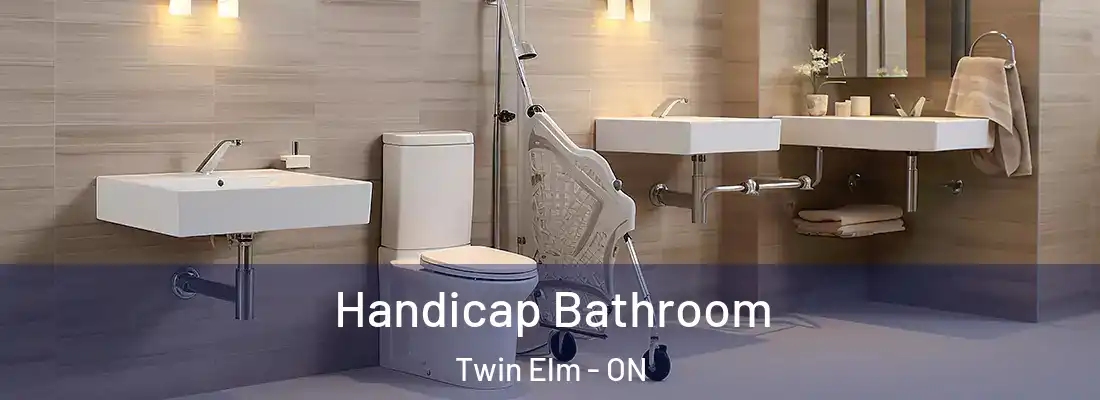  Handicap Bathroom Twin Elm - ON