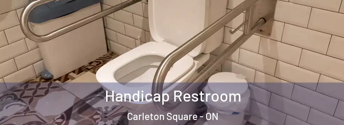  Handicap Restroom Carleton Square - ON