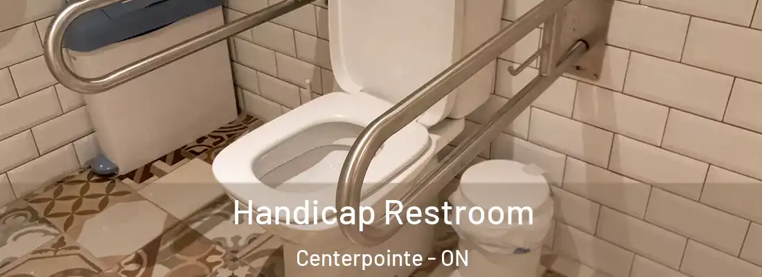  Handicap Restroom Centerpointe - ON