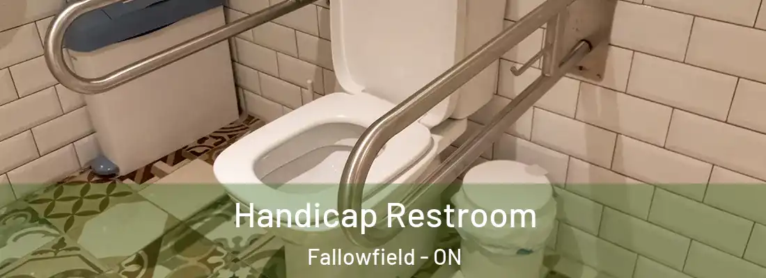  Handicap Restroom Fallowfield - ON