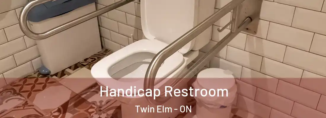  Handicap Restroom Twin Elm - ON
