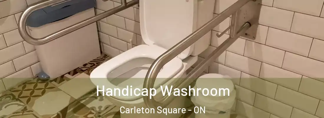  Handicap Washroom Carleton Square - ON