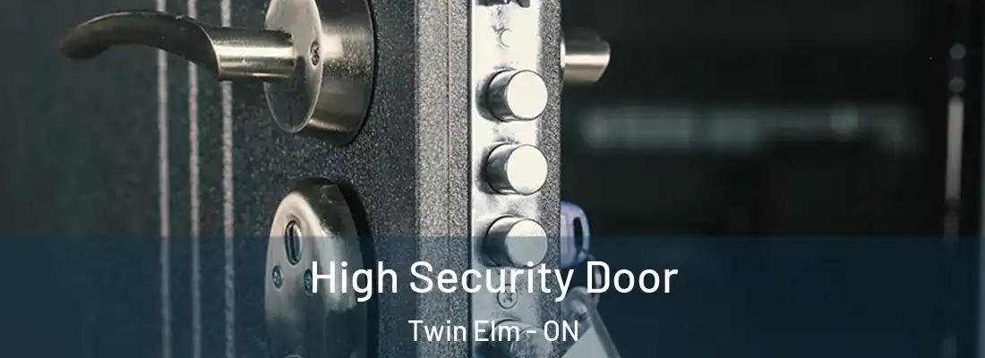  High Security Door Twin Elm - ON