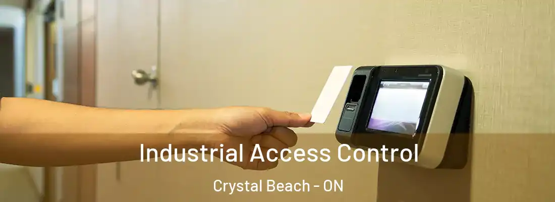 Industrial Access Control Crystal Beach - ON