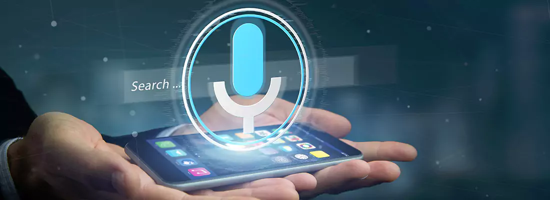 Enhance Security with Voice Recognition Access Systems in Manotick, ON