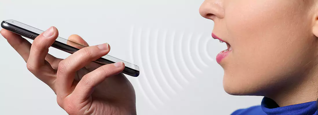 Residential and Commercial Voice Recognition Access Solutions in Manotick, ON