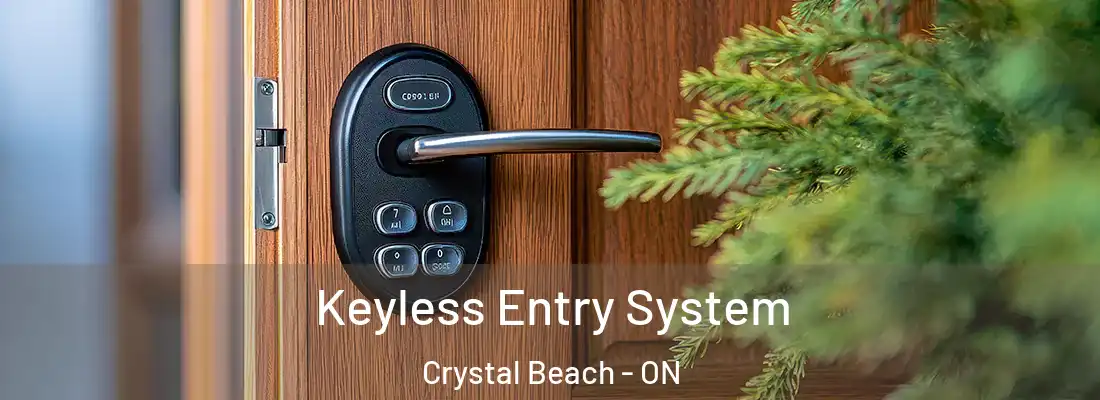  Keyless Entry System Crystal Beach - ON