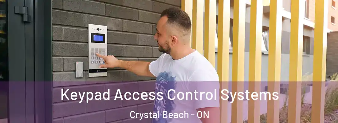  Keypad Access Control Systems Crystal Beach - ON