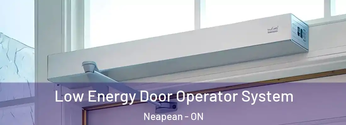  Low Energy Door Operator System Neapean - ON