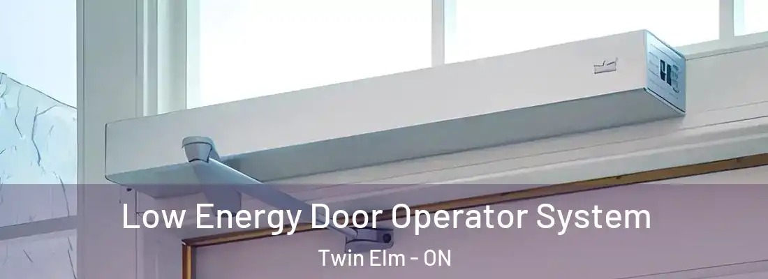  Low Energy Door Operator System Twin Elm - ON