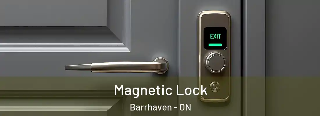  Magnetic Lock Barrhaven - ON