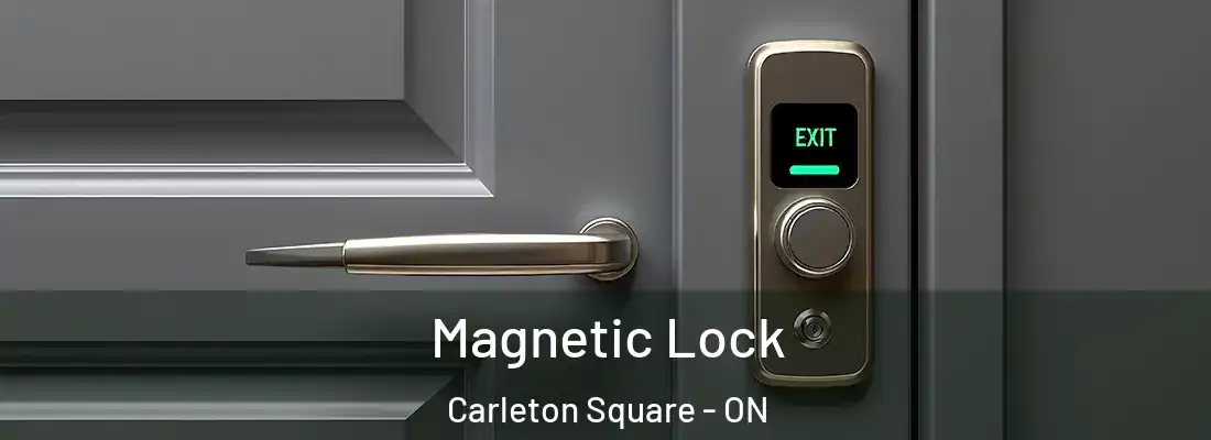  Magnetic Lock Carleton Square - ON