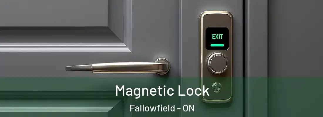  Magnetic Lock Fallowfield - ON