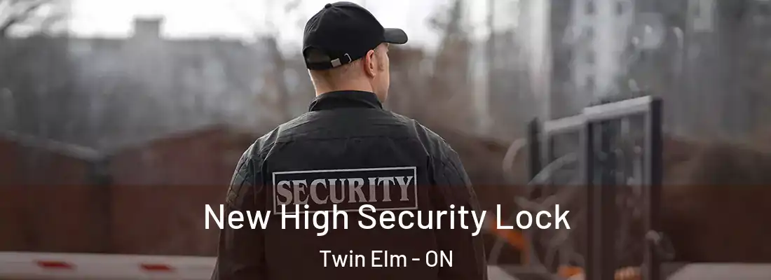  New High Security Lock Twin Elm - ON
