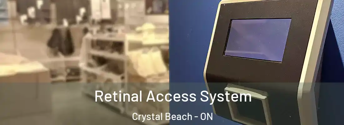  Retinal Access System Crystal Beach - ON