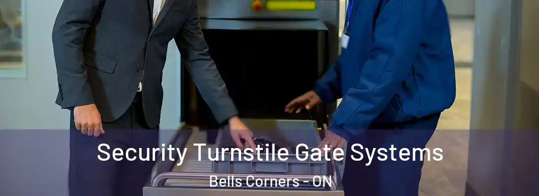  Security Turnstile Gate Systems Bells Corners - ON