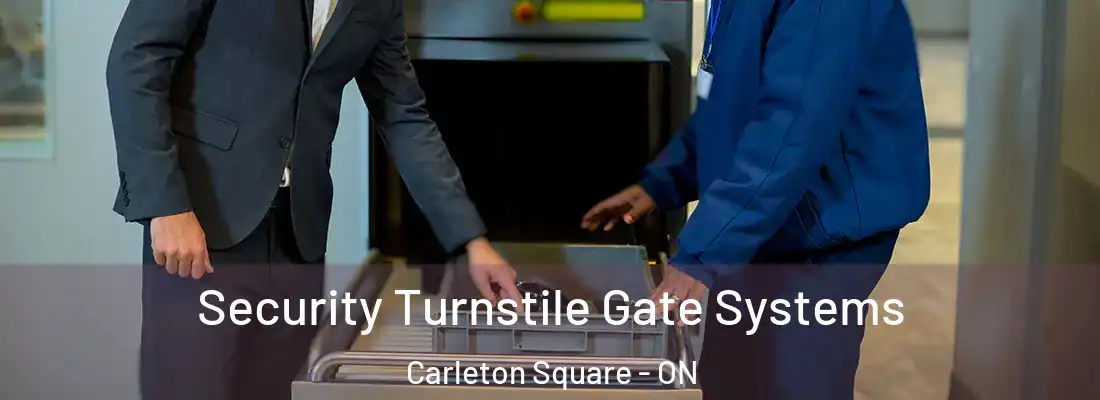 Security Turnstile Gate Systems Carleton Square - ON