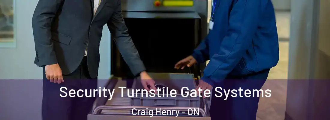  Security Turnstile Gate Systems Craig Henry - ON