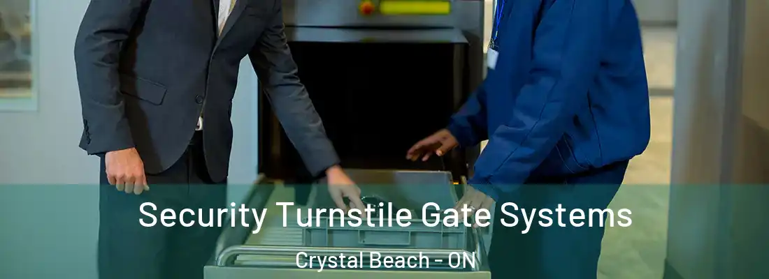  Security Turnstile Gate Systems Crystal Beach - ON