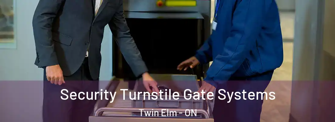  Security Turnstile Gate Systems Twin Elm - ON