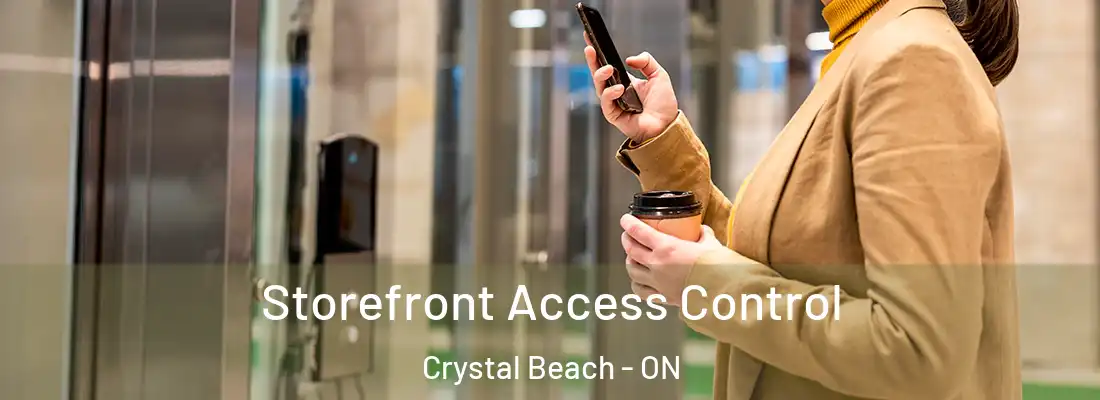  Storefront Access Control Crystal Beach - ON
