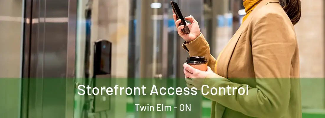  Storefront Access Control Twin Elm - ON